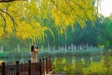 女篮世界杯进前八-女篮世界杯，中国女篮的荣耀时刻